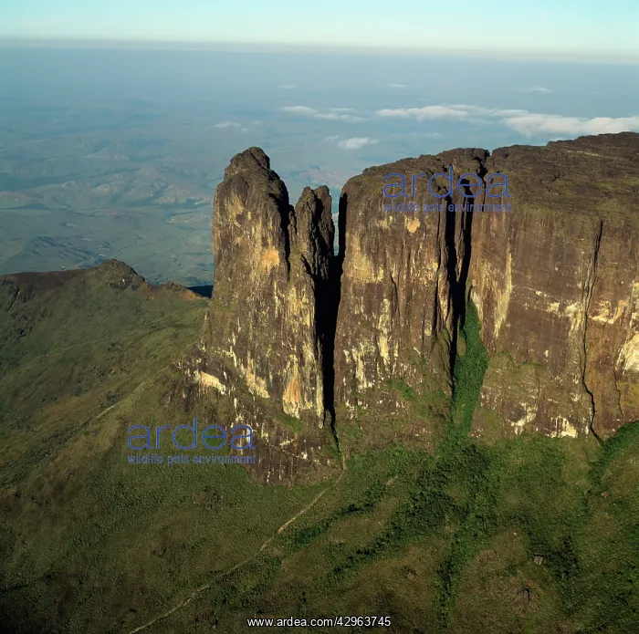 : Aerial image of Tepuis, Venezuela, South America : Aerial image of Tepuis, Venezuela, South America
