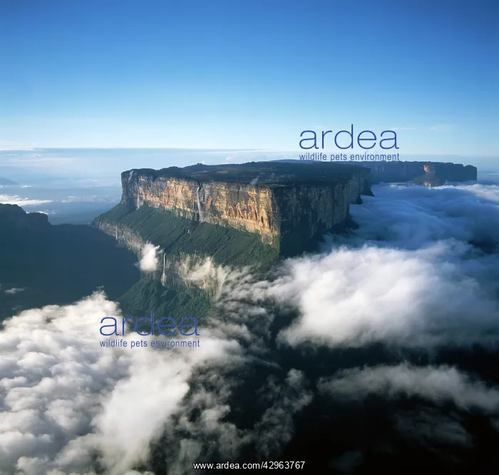 : Aerial image of Tepuis, Venezuela South America : Aerial image of Tepuis, Venezuela South America