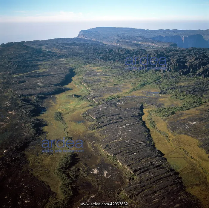 : Aerial image of Tepuis, Venezuela, South America : Aerial image of Tepuis, Venezuela, South America