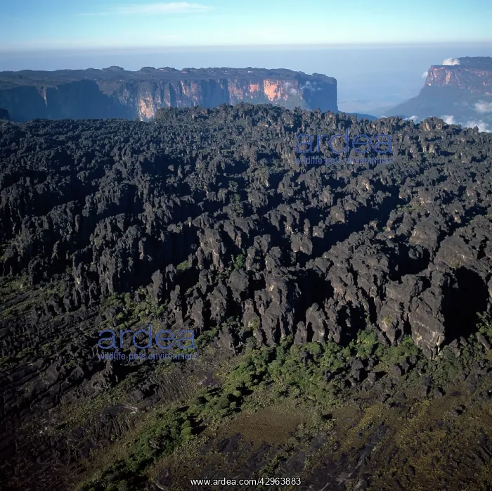 : Aerial image of Tepuis, Venezuela South America : Aerial image of Tepuis, Venezuela South America