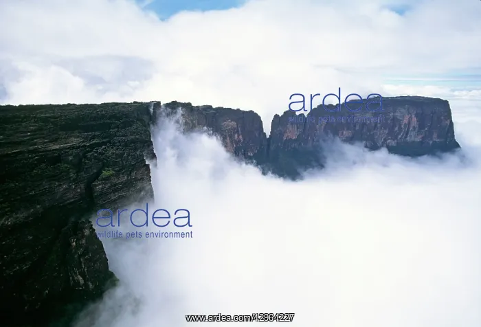 : Aerial image of Tepuis, Venezuela South America: : Aerial image of Tepuis, Venezuela South America: