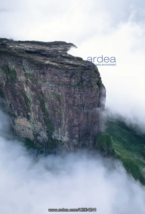 : Aerial image of Tepuis, Venezuela South America: : Aerial image of Tepuis, Venezuela South America: