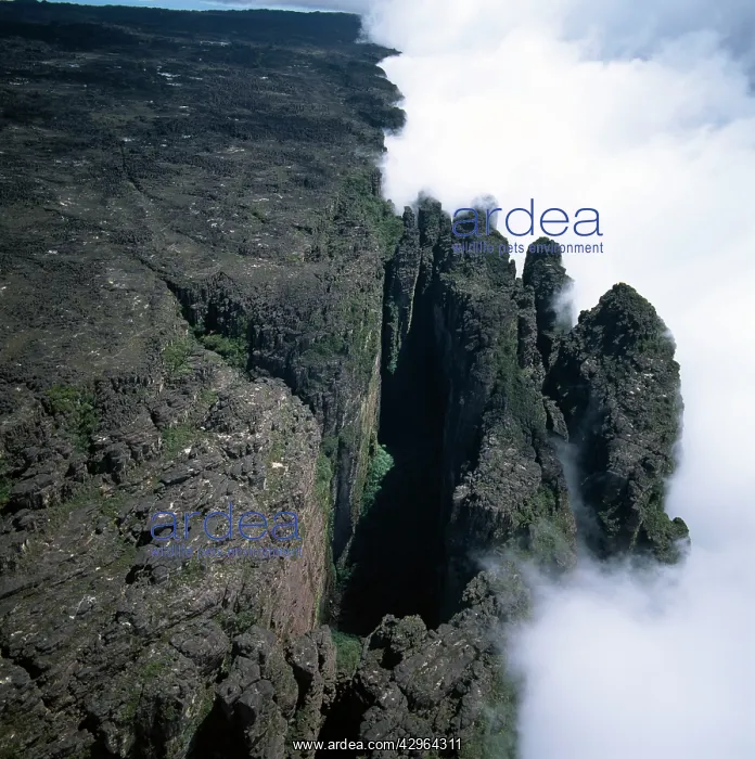 : Aerial image of Tepuis, Venezuela, South America: : Aerial image of Tepuis, Venezuela, South America: