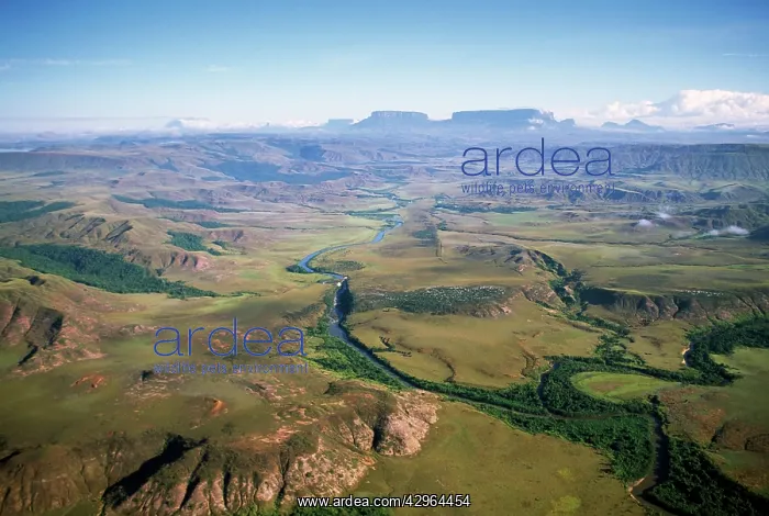 : Aerial image of Tepuis, Venezuela South America: : Aerial image of Tepuis, Venezuela South America: