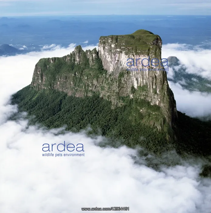 : Aerial image of Tepuis, Venezuela, South America: : Aerial image of Tepuis, Venezuela, South America: