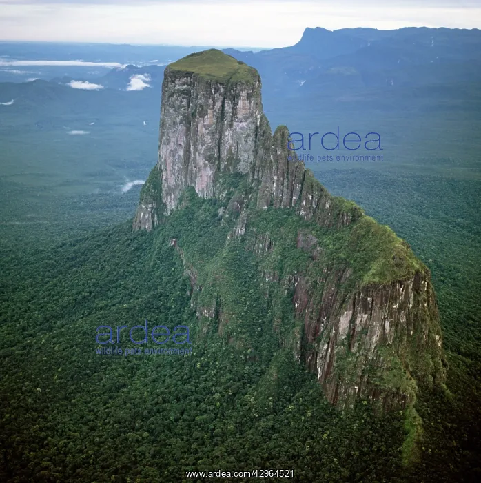 : Aerial image of Tepuis, Venezuela, South America: : Aerial image of Tepuis, Venezuela, South America:
