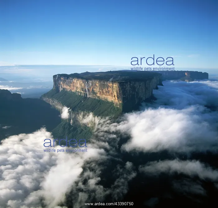 : Aerial image of Tepuis, Venezuela South America : Aerial image of Tepuis, Venezuela South America