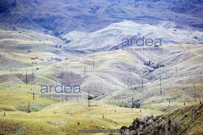 : Aerial image of Venezuela, South America : Aerial image of Venezuela, South America