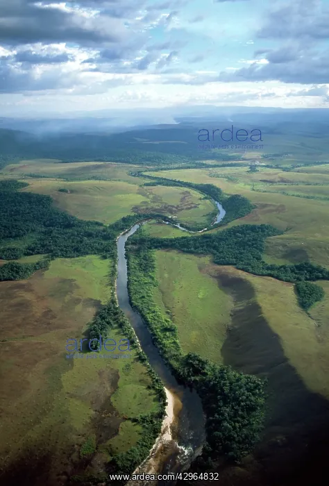 : Aerial image of Venezuela, South America: Yuruani : Aerial image of Venezuela, South America: Yuruani