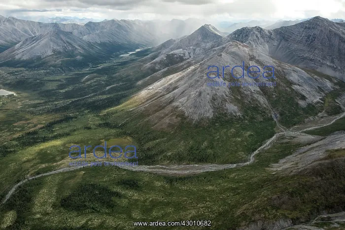: Aerial image of a wildernesss watershed (long standing : Aerial image of a wildernesss watershed (long standing