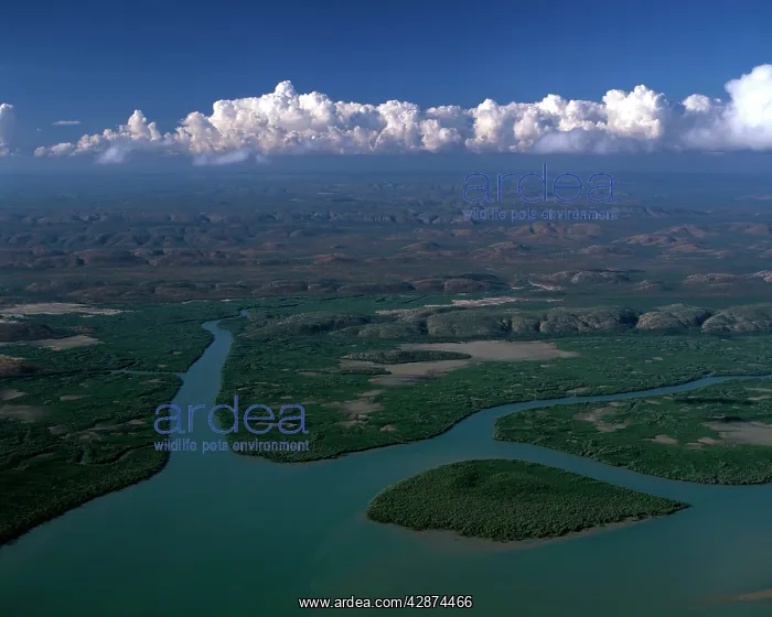 : Aerial - King Sound: mangrove-lined river & hills : Aerial - King Sound: mangrove-lined river & hills