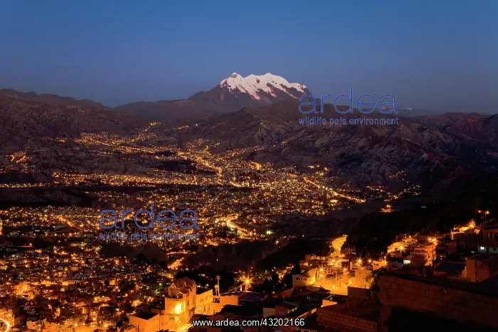 : Aerial of La Paz and Mount Illimani : Aerial of La Paz and Mount Illimani