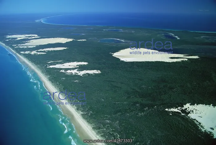 : Aerial, lagoons lakes, sand dunes Great Sandy National Park : Aerial, lagoons lakes, sand dunes Great Sandy National Park