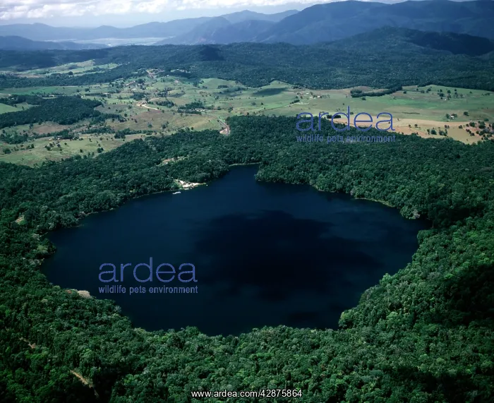 : Aerial - Lake Barrine Crater Lakes National Park : Aerial - Lake Barrine Crater Lakes National Park