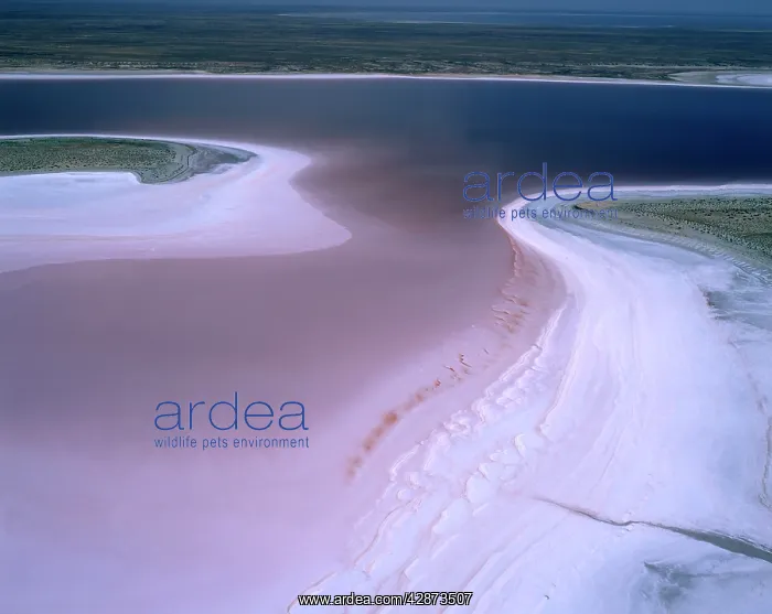 : Aerial - Lake Eyre National Park (south) South Australia : Aerial - Lake Eyre National Park (south) South Australia
