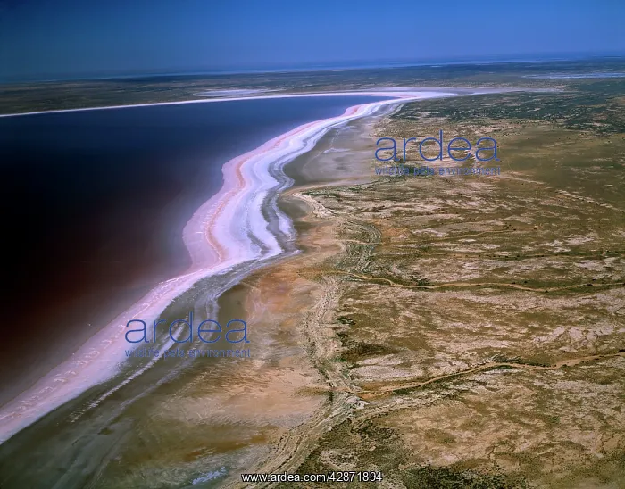 : Aerial - Lake Eyre North Dry salt lake that floods : Aerial - Lake Eyre North Dry salt lake that floods