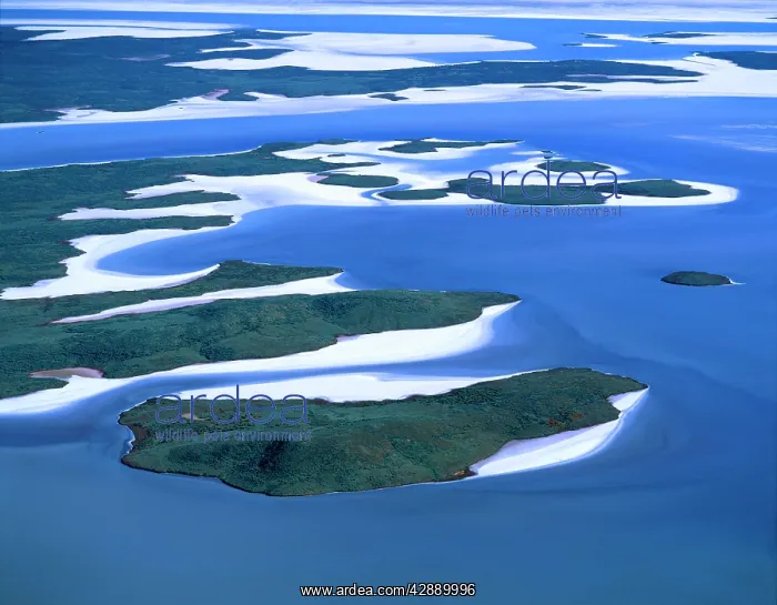 : Aerial - Lake Gairdner - salt lake : Aerial - Lake Gairdner - salt lake