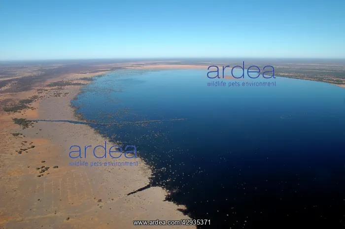 : Aerial of Lake Ngami : Aerial of Lake Ngami