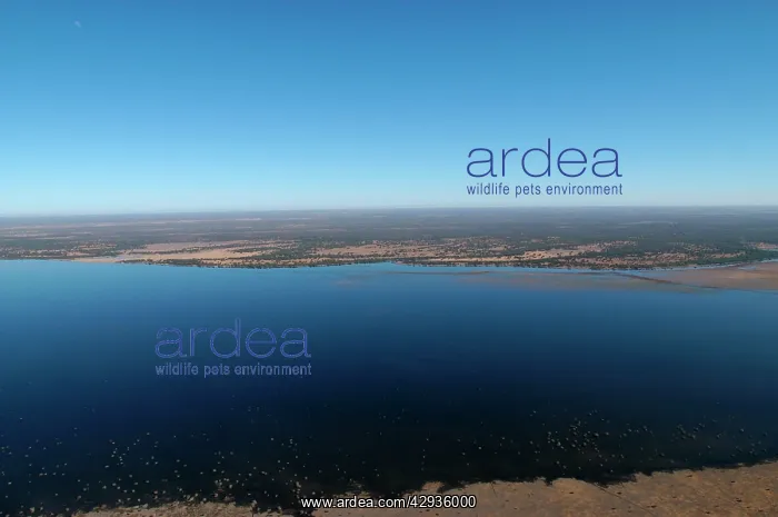  : Aerial of Lake Ngami