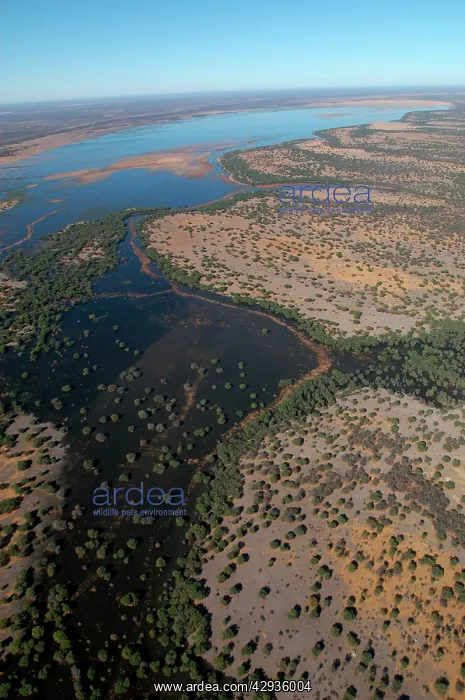 : Aerial of Lake Ngami : Aerial of Lake Ngami