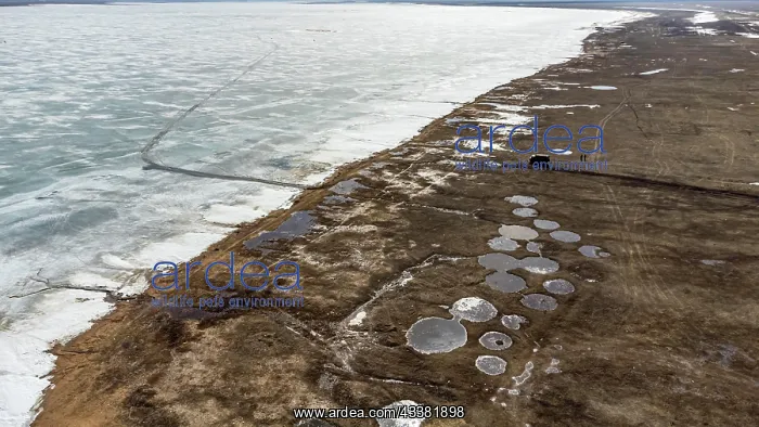 : Aerial of lake Tengiz, Korgalzhyn Nature Reserve : Aerial of lake Tengiz, Korgalzhyn Nature Reserve