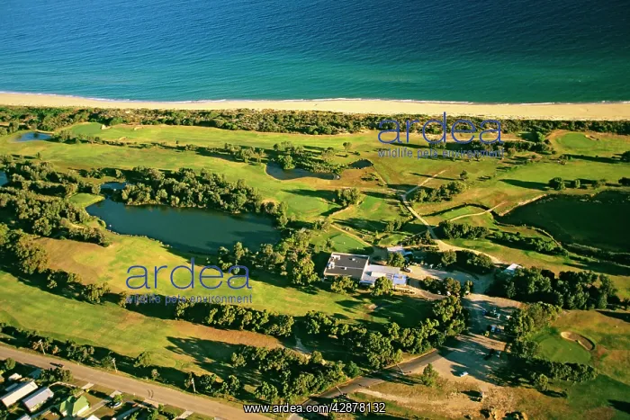 : Aerial - Lakes Entrance golf course : Aerial - Lakes Entrance golf course