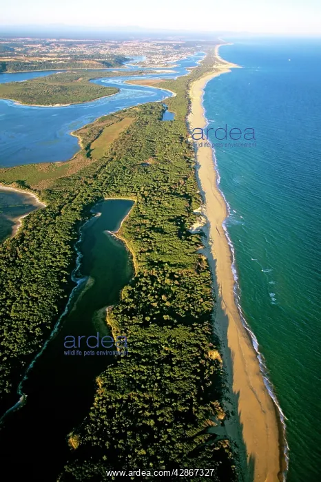 : Aerial - Lakes Entrance, Ninety Mile Beach : Aerial - Lakes Entrance, Ninety Mile Beach