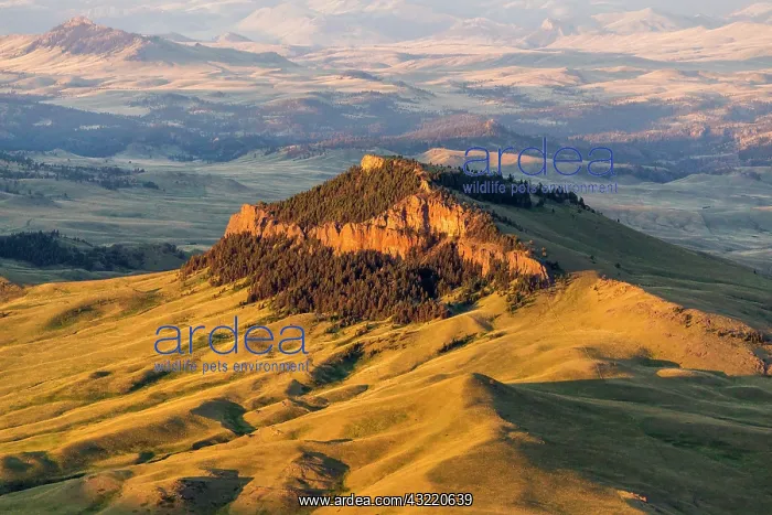 : Aerial of Lionhead Butte in Cascade County : Aerial of Lionhead Butte in Cascade County