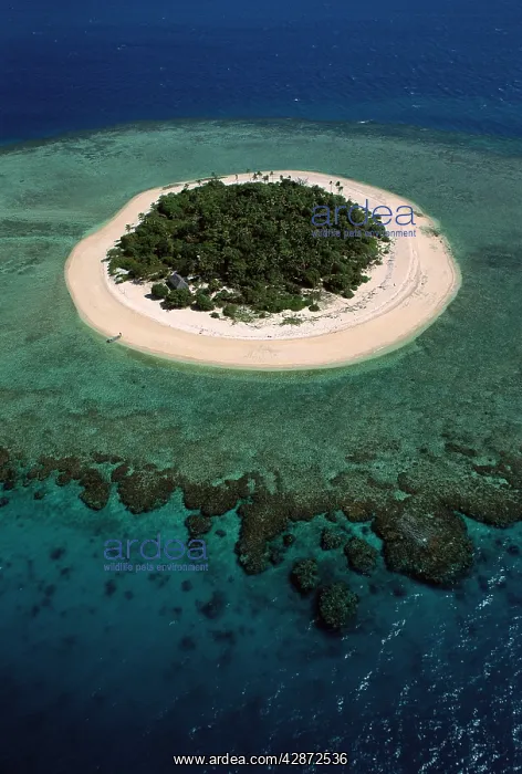: Aerial - Malamala Island - a coral cay - Mamanuca : Aerial - Malamala Island - a coral cay - Mamanuca