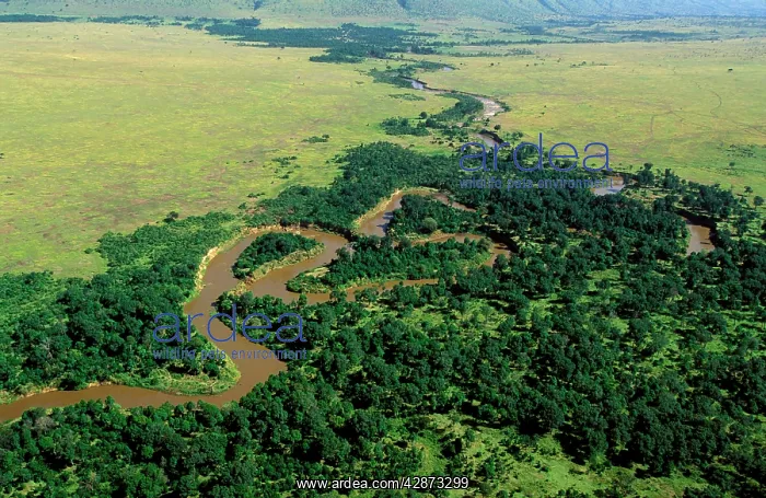  : Aerial - Mara River