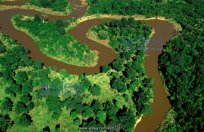  : Aerial - Mara River