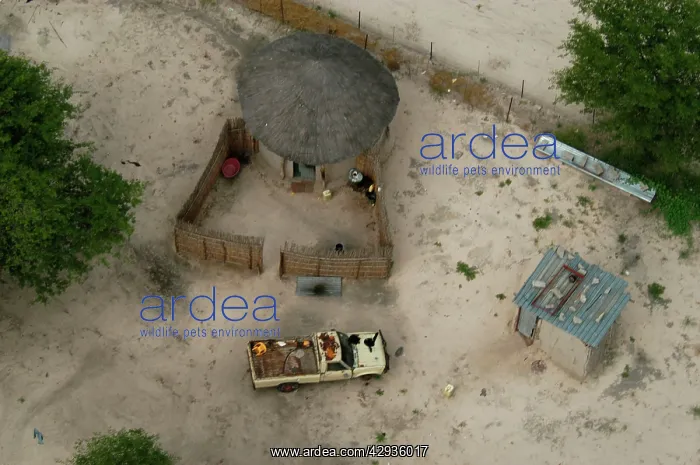  : Aerial of Maun