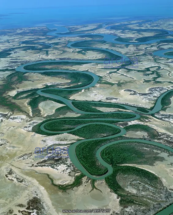 : Aerial - McArthur River near delta, Gulf of Carpentaria : Aerial - McArthur River near delta, Gulf of Carpentaria