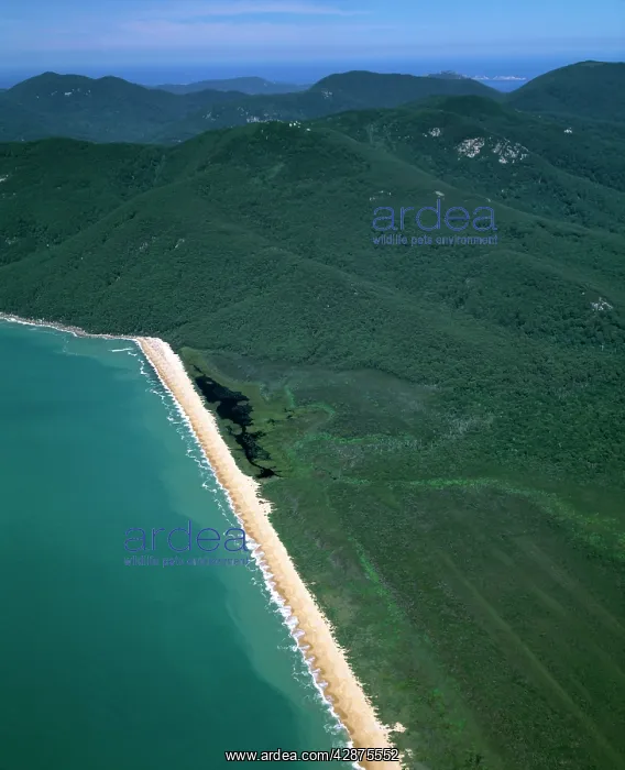 : Aerial - Five Mile Beach : Aerial - Five Mile Beach