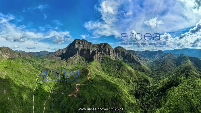 : Aerial of the Mountains around, Samaipata, Bolivia : Aerial of the Mountains around, Samaipata, Bolivia