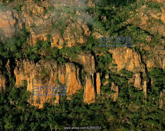 : Aerial - Mt Brockman, part of Arnhem Land Escarpment Stone : Aerial - Mt Brockman, part of Arnhem Land Escarpment Stone