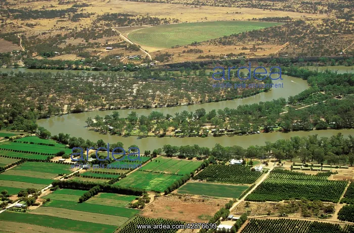 : Aerial - Murray River irrigation: citrus orchards : Aerial - Murray River irrigation: citrus orchards