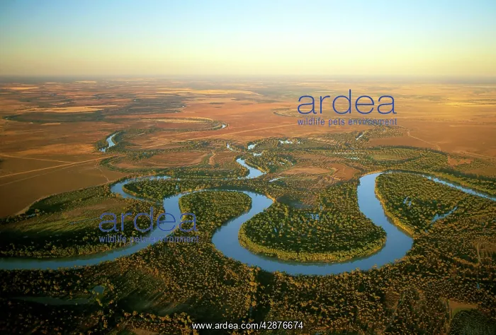 : Aerial - Murray River and its meanders - between : Aerial - Murray River and its meanders - between