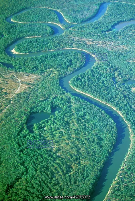 : Aerial - Murray River & its meanders : Aerial - Murray River & its meanders