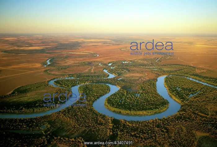 : Aerial - Murray River and its meanders - between : Aerial - Murray River and its meanders - between