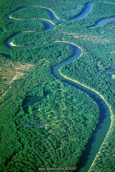 : Aerial - Murray River & its meanders between Robinvale : Aerial - Murray River & its meanders between Robinvale