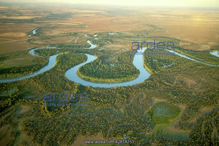 : Aerial - Murray River and its meanders between Wentworth : Aerial - Murray River and its meanders between Wentworth