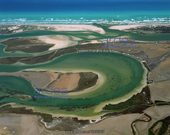 : Aerial - Murray River mouth with Hindmarsh Island : Aerial - Murray River mouth with Hindmarsh Island