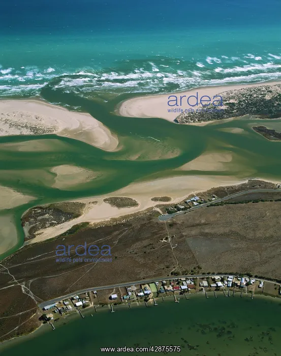 : Aerial - Murray River mouth & Hindmarsh island : Aerial - Murray River mouth & Hindmarsh island
