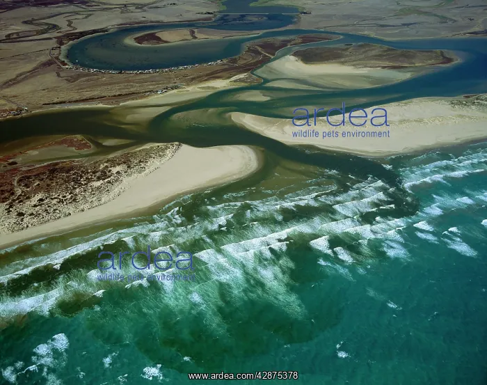 : Aerial - Murray River mouth, with Sir Richard Peninsula : Aerial - Murray River mouth, with Sir Richard Peninsula