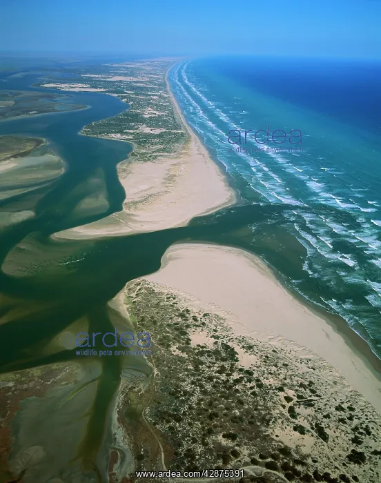 : Aerial - Murray River mouth with Sir Richard Peninsula : Aerial - Murray River mouth with Sir Richard Peninsula