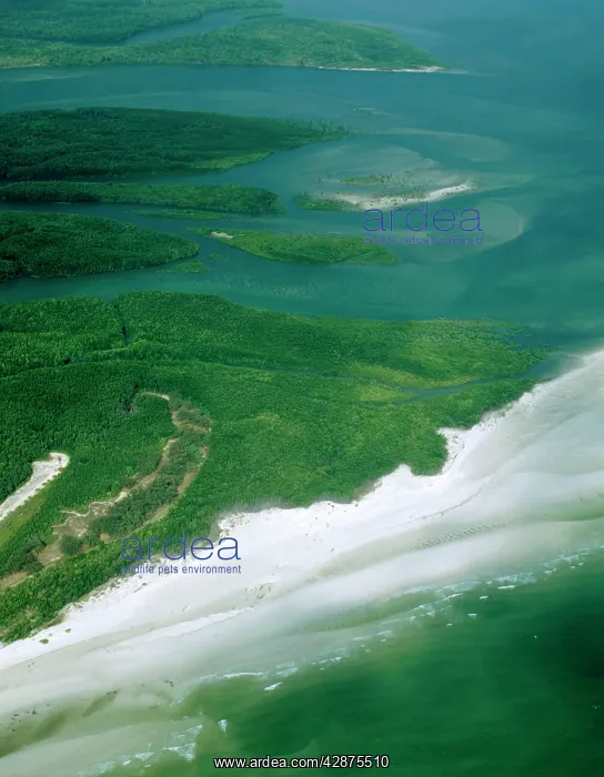  : Aerial - Newcastle Bay and Kennedy Inlet with mangroves
