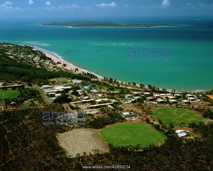 : Aerial - Nhulunbuy with Bremer Island in the distance : Aerial - Nhulunbuy with Bremer Island in the distance