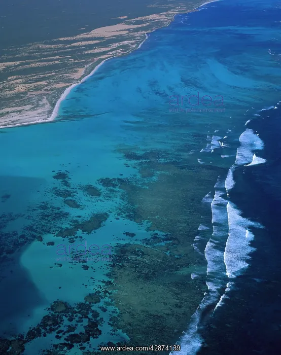 : Aerial: Ningaloo Reef Ningaloo Marine Park : Aerial: Ningaloo Reef Ningaloo Marine Park
