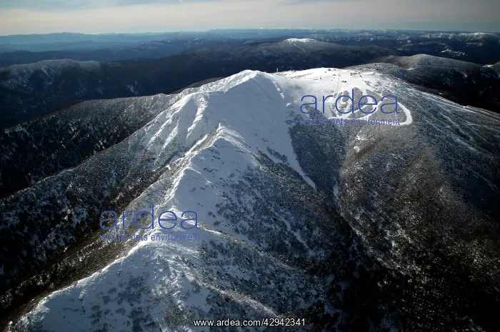 : Aerial of.Mount Buller Alpine Resort.northeastern : Aerial of.Mount Buller Alpine Resort.northeastern